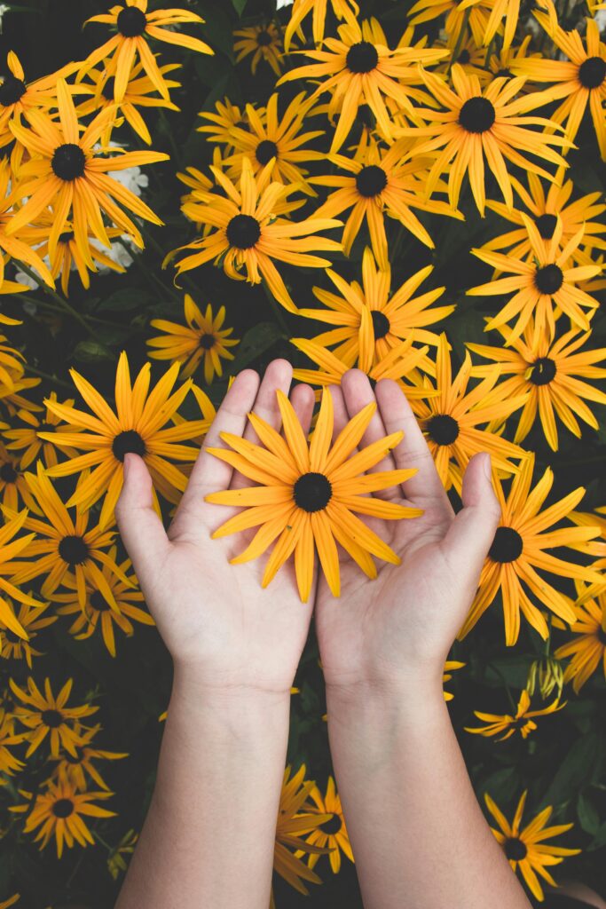 Somatische Energetik und Körpertherapie Close-up of hands holding vibrant yellow daisies, showcasing natural beauty and floral pattern.