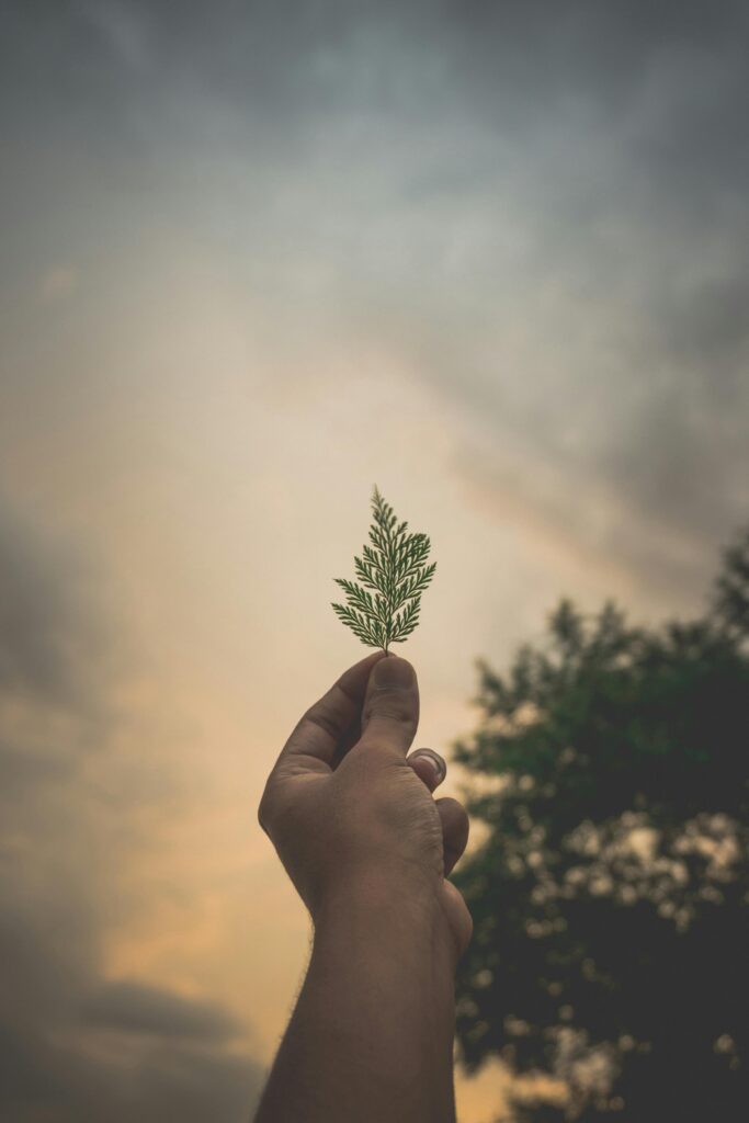 EMDR und Ego State Therapie somatische energetik und körpertherapie