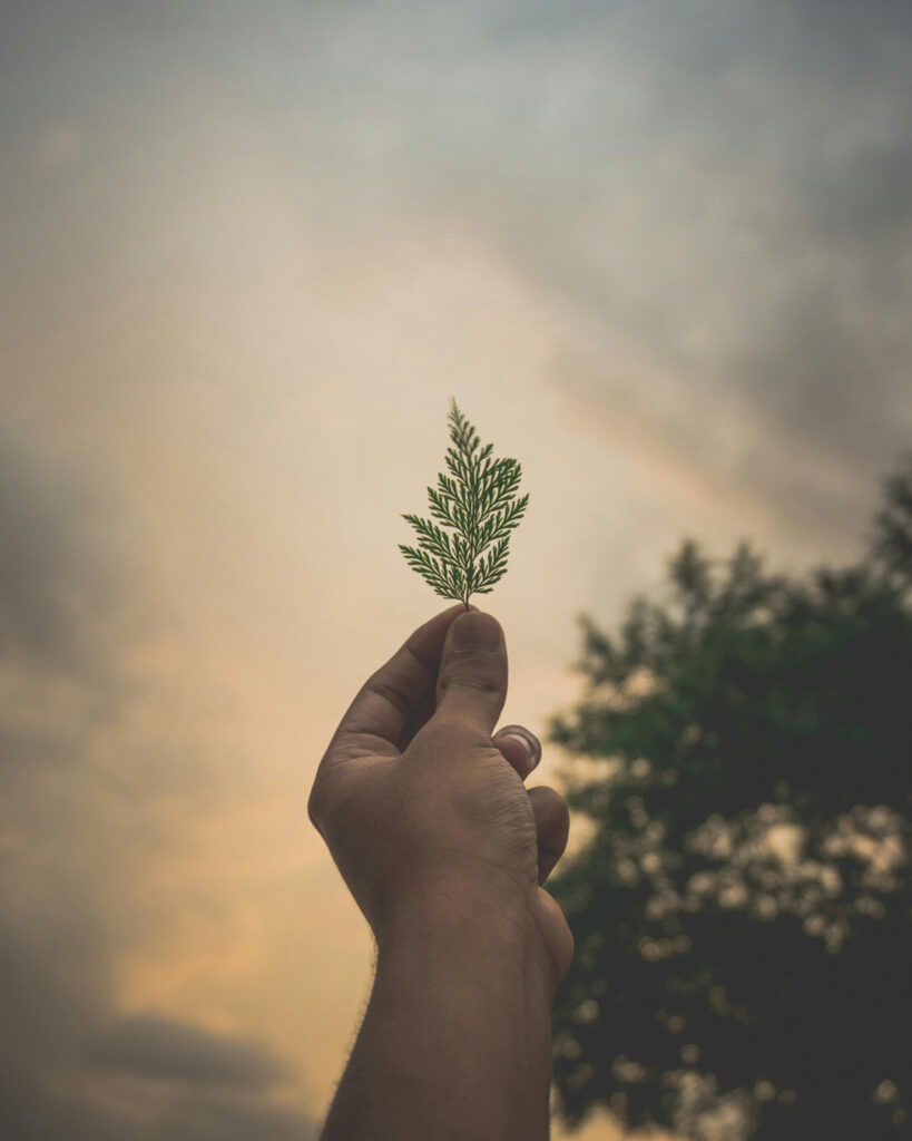 somatische energetik und körpertherapie